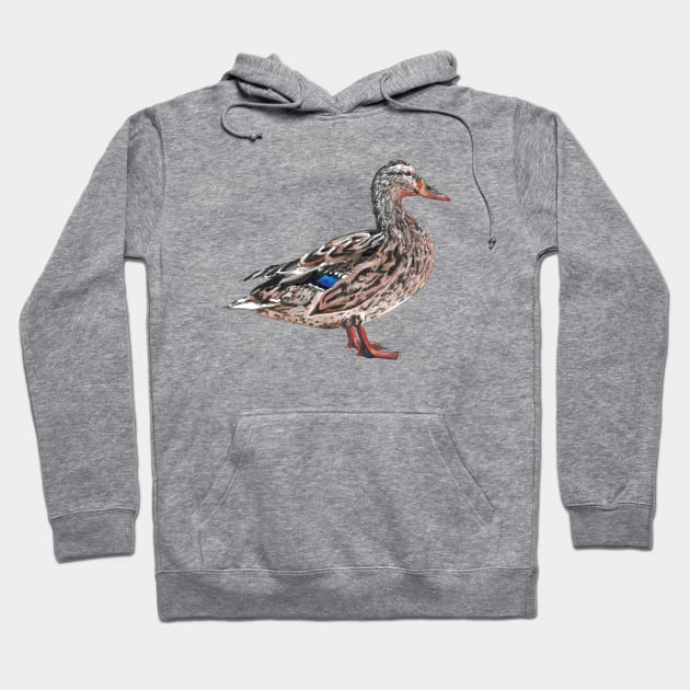 Mallard Duck - Female Hoodie by lucafon18